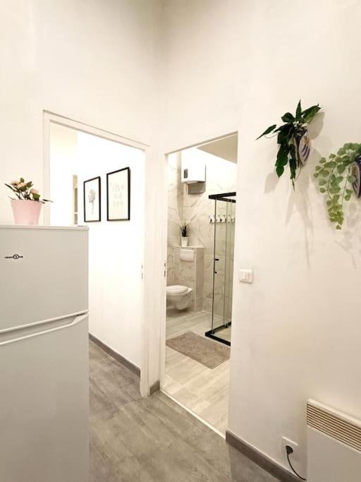 Appartement Gare Saint Charles มาร์กเซย ภายนอก รูปภาพ